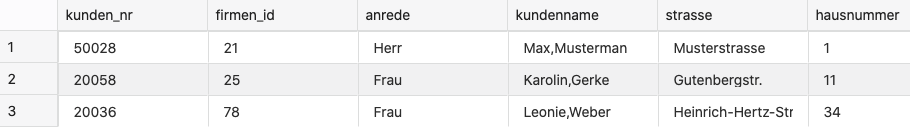 Abbildung 4: NEUKUNDEN - Kunden Set 1